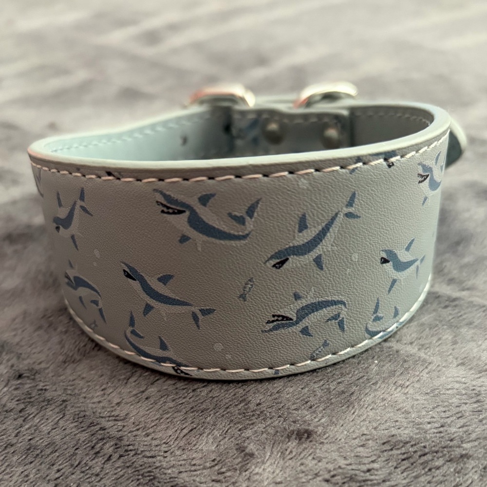 Collar of Sweden - Shark Print Dog Collar size S-Wide - fits 10-12 inch neck